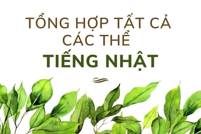 Tổng hợp các thể trong Tiếng Nhật PDF [Download Free]