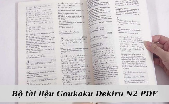 Goukaku Dekiru N2 PDF
