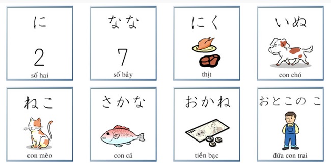 Học từ vựng tiếng Nhật mỗi ngày